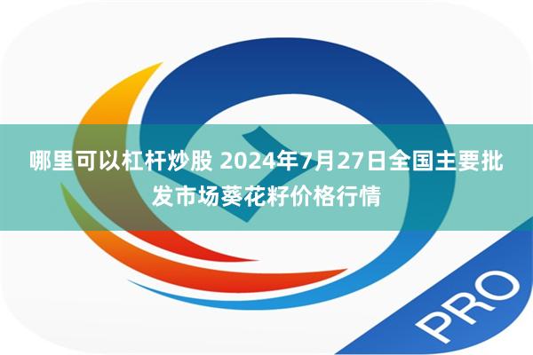 哪里可以杠杆炒股 2024年7月27日全国主要批发市场葵花籽价格行情