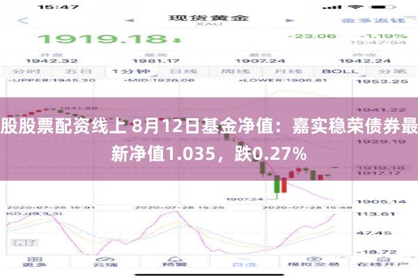 股股票配资线上 8月12日基金净值：嘉实稳荣债券最新净值1.035，跌0.27%