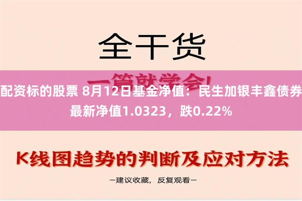 配资标的股票 8月12日基金净值：民生加银丰鑫债券最新净值1.0323，跌0.22%