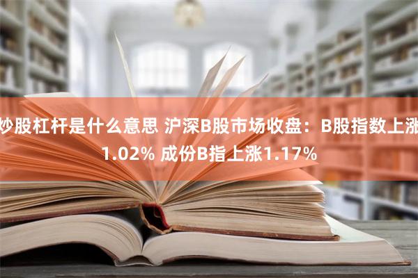 炒股杠杆是什么意思 沪深B股市场收盘：B股指数上涨1.02% 成份B指上涨1.17%