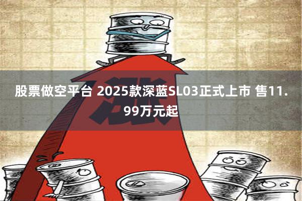 股票做空平台 2025款深蓝SL03正式上市 售11.99万元起