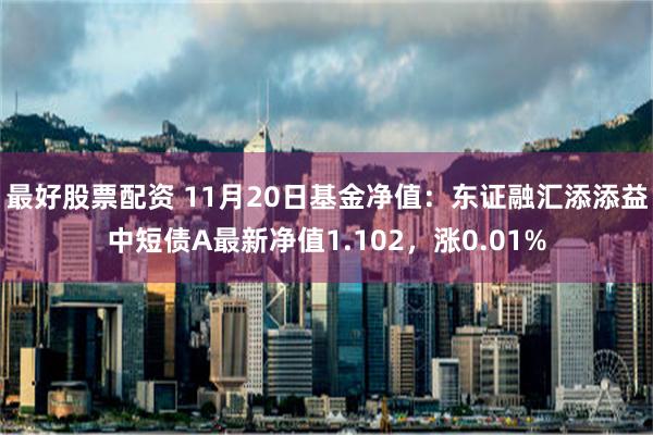 最好股票配资 11月20日基金净值：东证融汇添添益中短债A最新净值1.102，涨0.01%