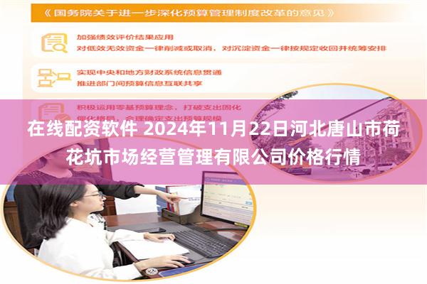 在线配资软件 2024年11月22日河北唐山市荷花坑市场经营管理有限公司价格行情