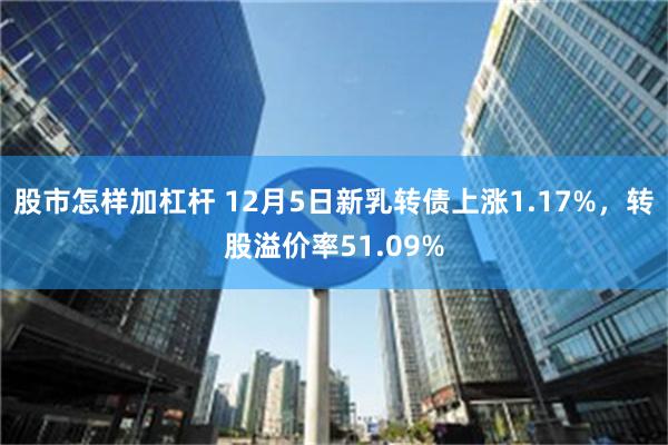 股市怎样加杠杆 12月5日新乳转债上涨1.17%，转股溢价率51.09%