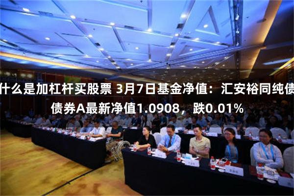 什么是加杠杆买股票 3月7日基金净值：汇安裕同纯债债券A最新净值1.0908，跌0.01%